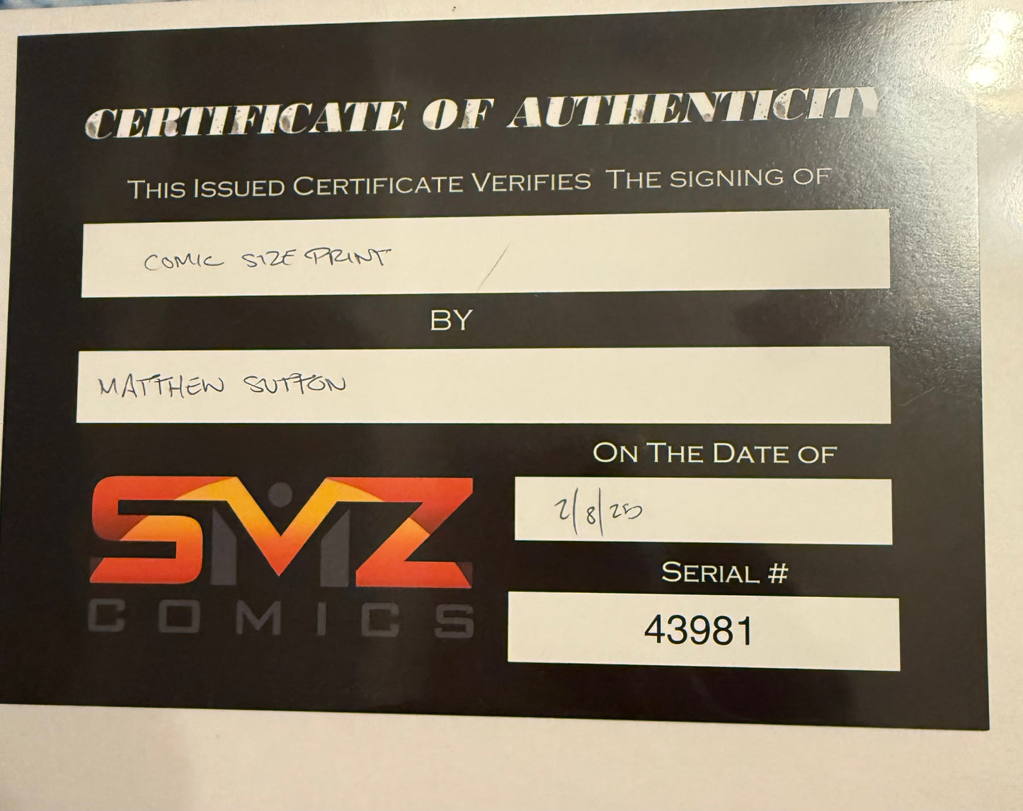 Matthew Sutton signed comic sized print with COA - RockSteady and BeBop collectible