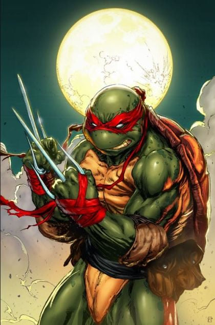 IDW Publishing, Teenage Mutant Ninja Turtles, Vol. 6 #1HB - Raymond Gay Exclusive Virgin Foil Variant